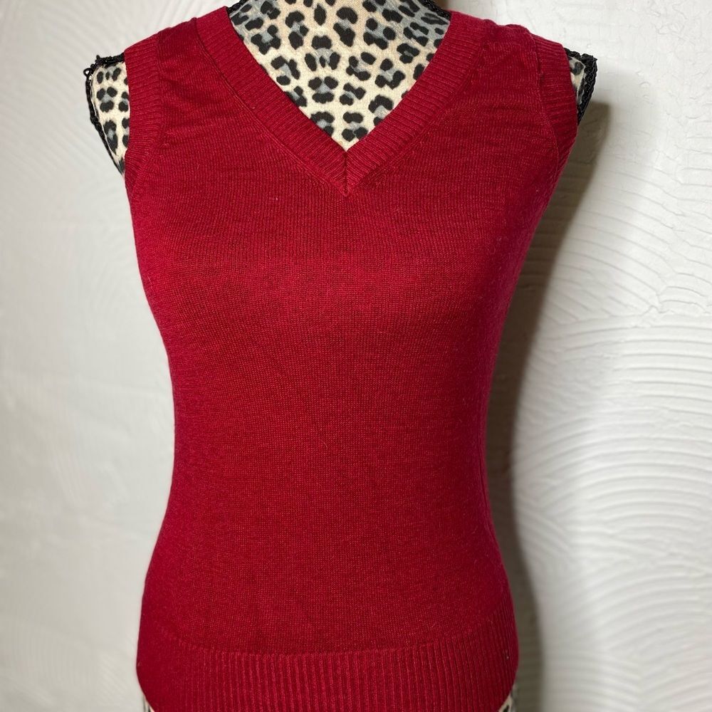 Express Small Maroon Sweater